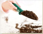 как определить состав и кислотность почвы
